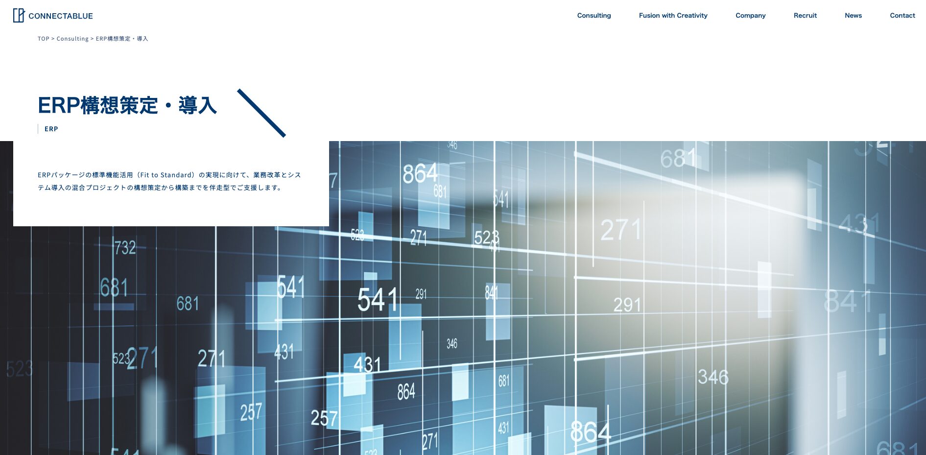 CONNECTABLUE / コネクタブルー