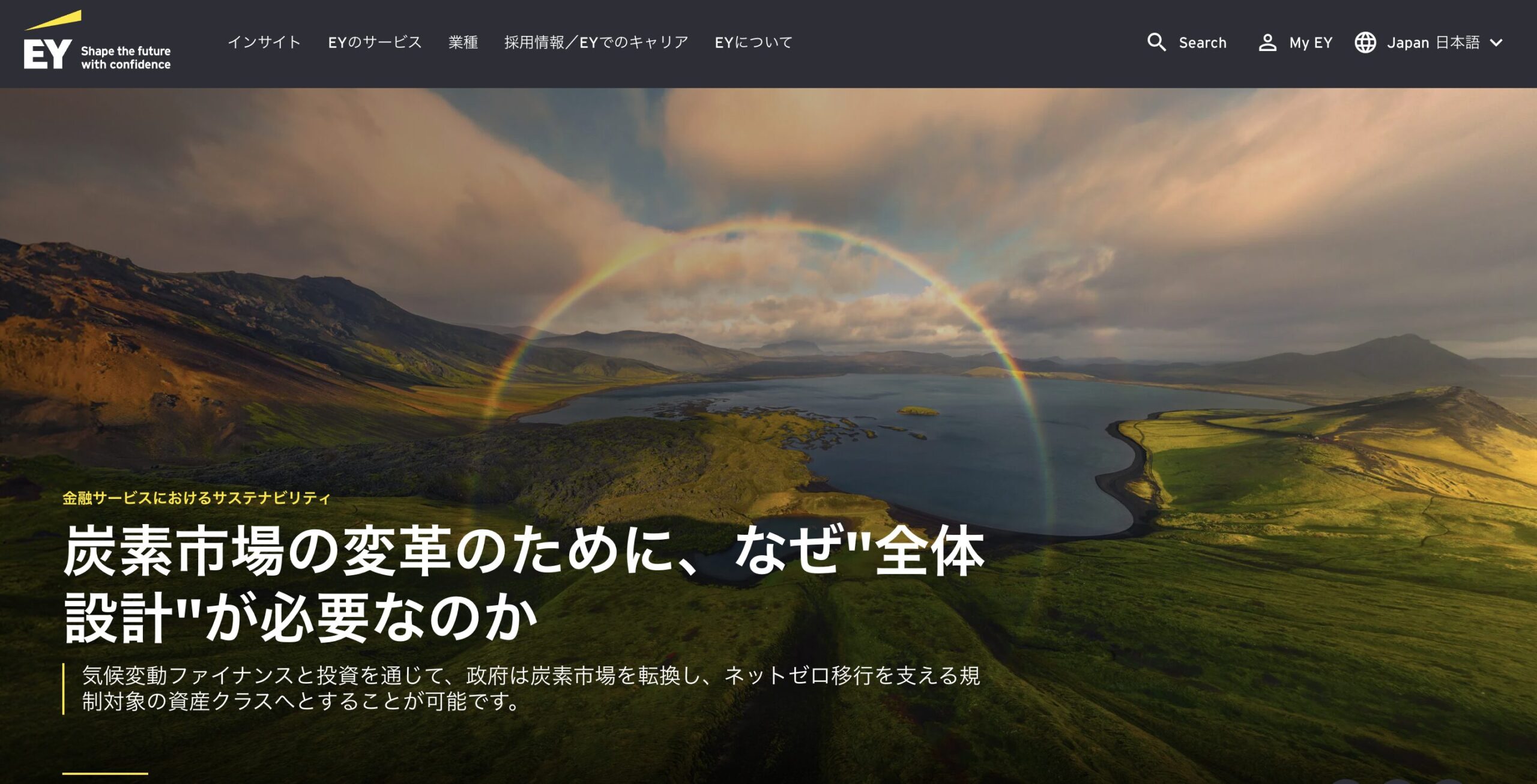 EY Strategy and Consulting Co., Ltd.